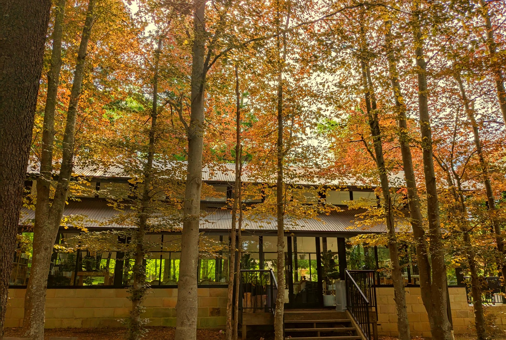 Sorensen's Gardens